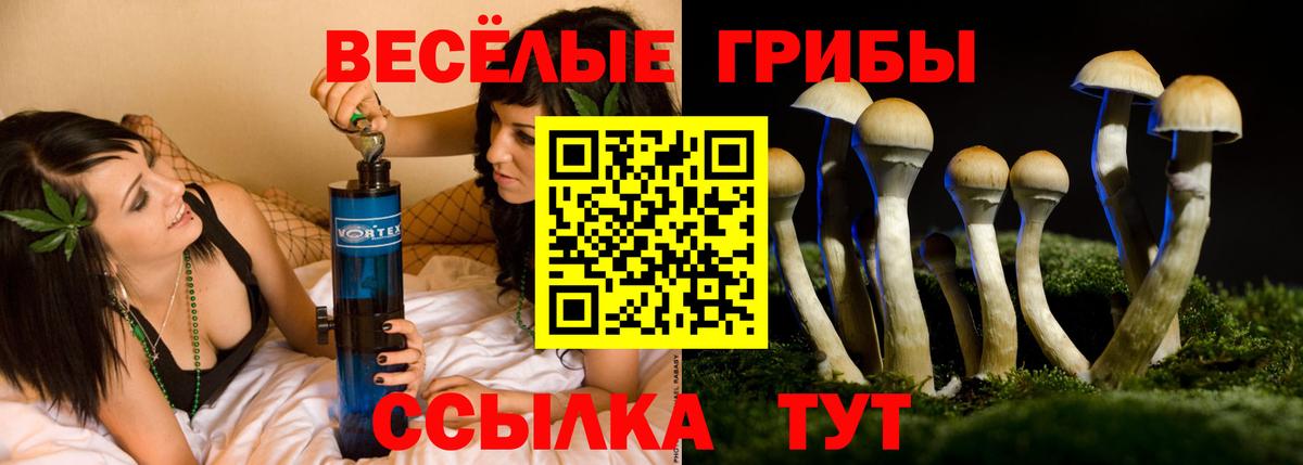 Псилоцибиновые грибы Magic Shrooms  Вход с VPN  Псилоцибиновые грибы мицелий  Златоуст 